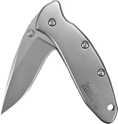 Kershaw Chive Pocket Knife (1600); 1.9â€ 420HC Steel Blade with 410 Stainless Steel Handle, SpeedSafe Assisted Opening with Flipper, Frame Lock, Tip-Lock Slider and Single-Position Pocketclip (1-Unit)