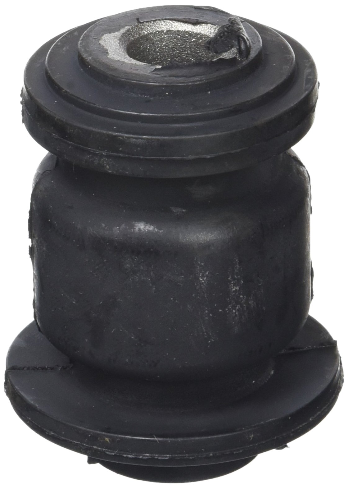 FraP (Biology) SB13622 Silent Block