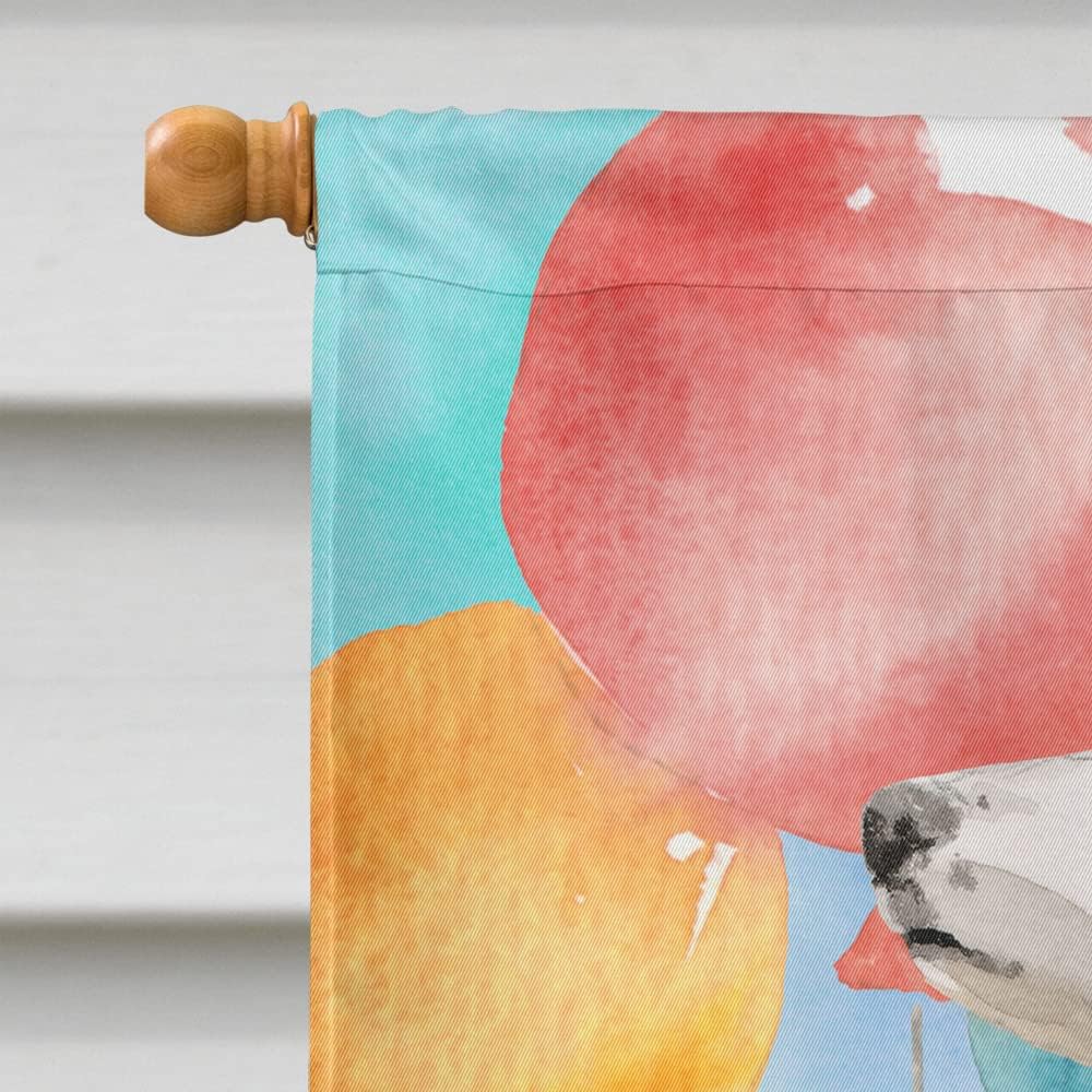 Caroline's Treasures CK3242CHF Happy Birthday Border Collie House Flag Large Porch Sleeve Pole Decorative Outside Yard Banner Artwork Wall Hanging, Polyester, House Size, Multicolor