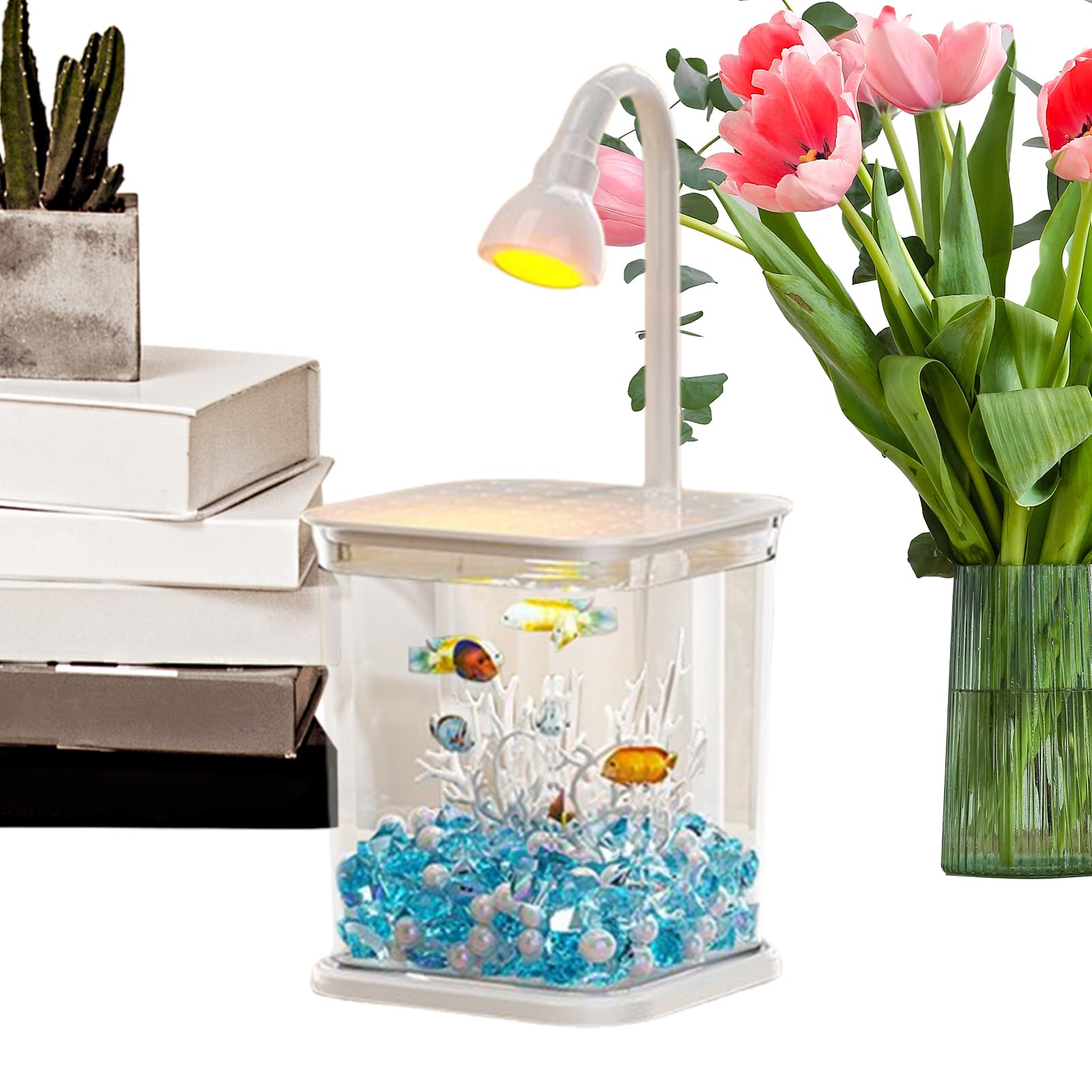 Petit aquarium avec lumière déco de bureau et terrarium araignée