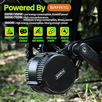 Amazon.com: BAFANG 48V 750W Mid Drive Motor Kit with C18 Display