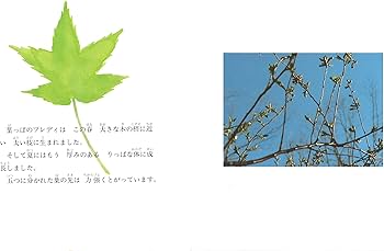 葉っぱのフレディ―いのちの旅 : Amazon.nl: Boeken