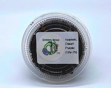 Dwarf Purple Isopods (Qty-25), for Amphibian/Reptile/Invertebrate Bioactive Habitats, By Critters Direct