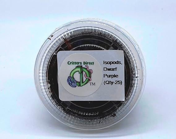 Dwarf Purple Isopods (Qty-25), for Amphibian/Reptile/Invertebrate Bioactive Habitats, By Critters Direct