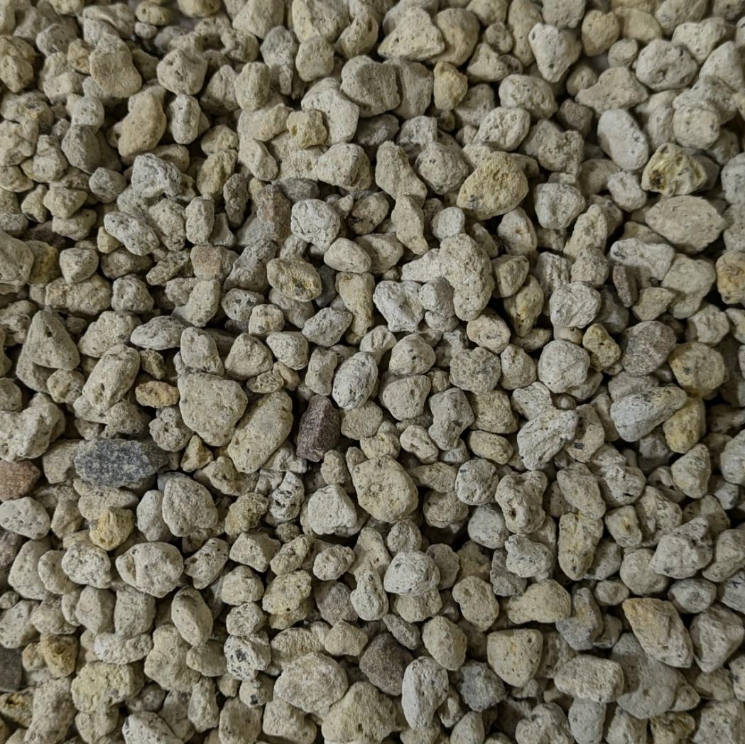 Amazon | 廣田商店 軽石 約4L 中粒 | 用土