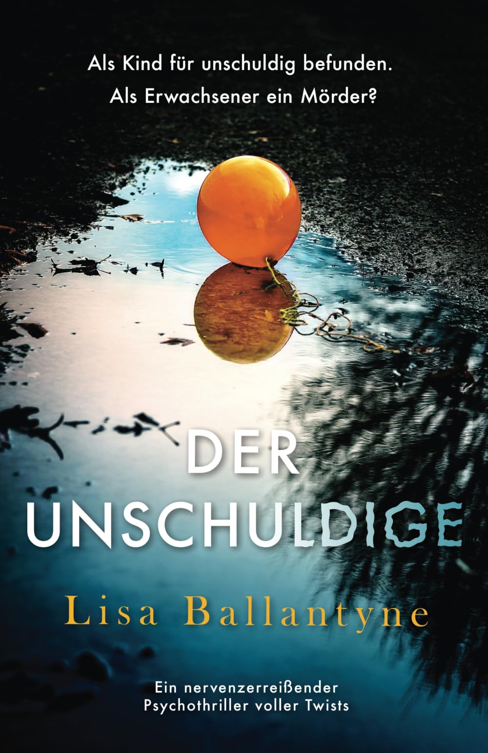 Der Unschuldige: Ein nervenzerreißender Psychothriller voller Twists