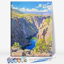 Aeontinity Black Canyon of The Gunnison National Park Colorado Location Framed Canvas DIY Paint by Numbers Kit Bar Cafe Cave Home Room Wall Bathroom Porch Patio Decor Gift, 16 x 12 Inch