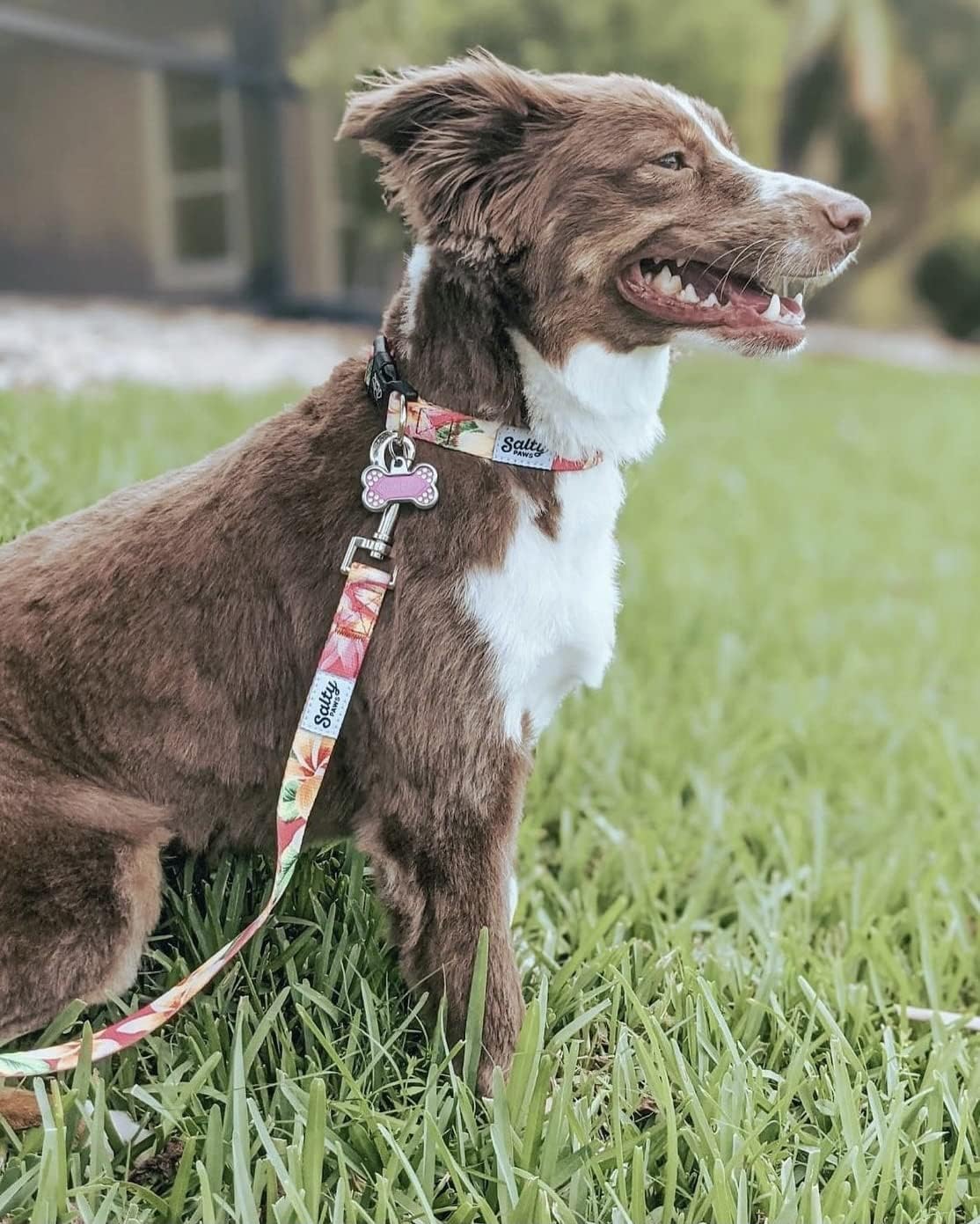 Shaka's Salty Paws Premium Matching Dog Collar & Dog Leash Combo Set. Cute Pink Floral Hawaiian Print Size Medium Dogs 25-50 lbs. Soft Neoprene Padded Handle Ships Fast from USA