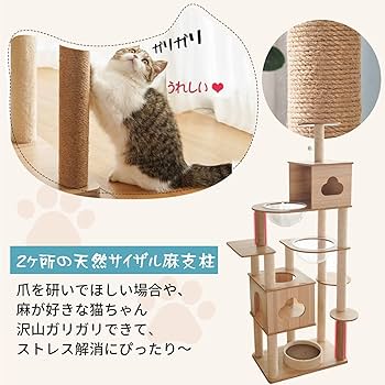 Amazon | Yilucess 猫タワー 木製 キャットタワー 据え置き 猫 透明