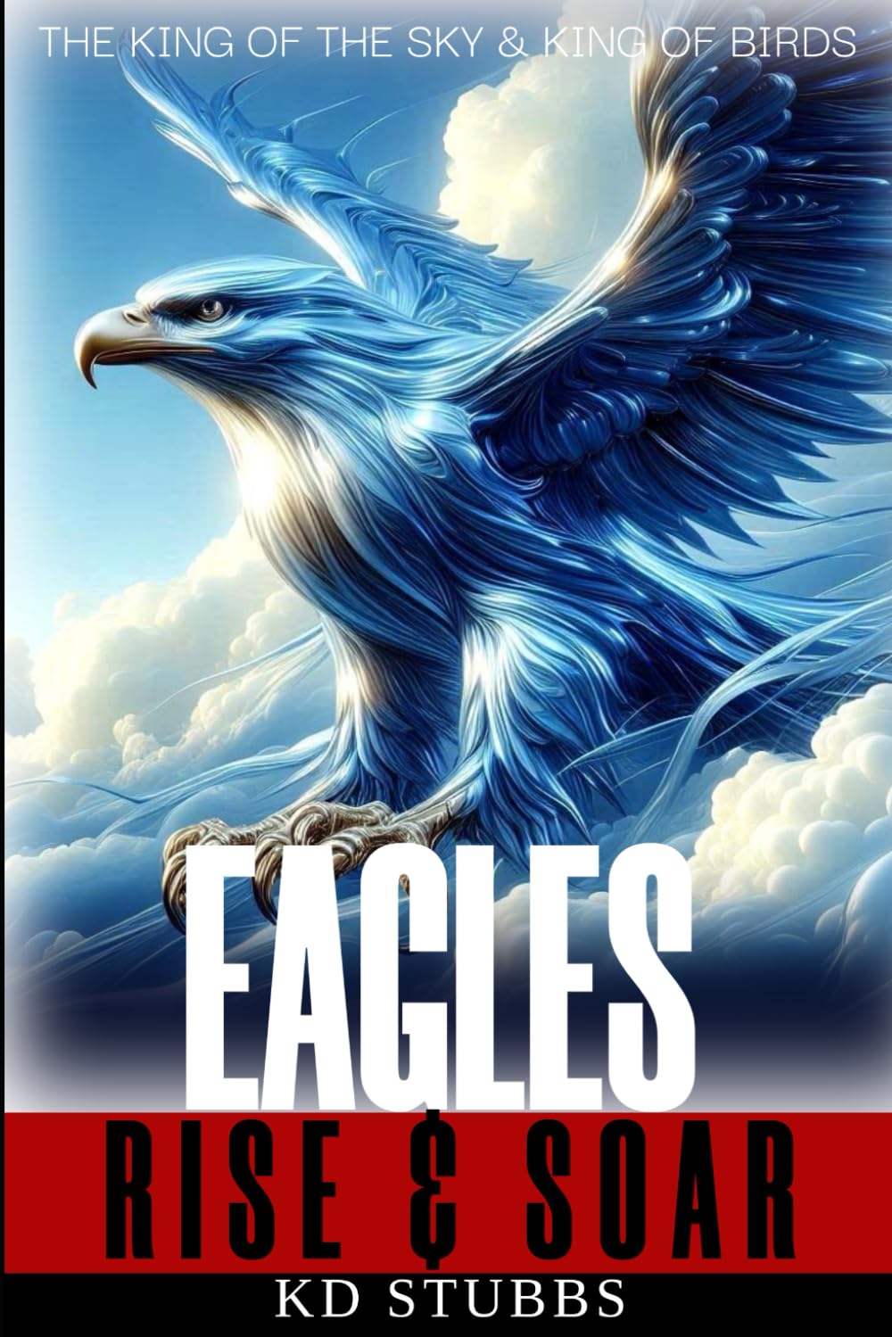 Eagles Rise & Soar