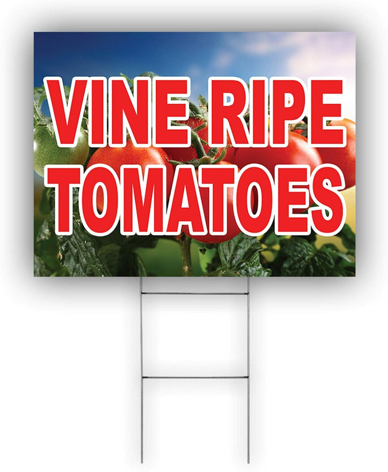 Afterprints Vine Ripe Tomatoes Produce Indoor Outdoor Coroplast Yard Sign with H Stake 18"x24" Double Sided