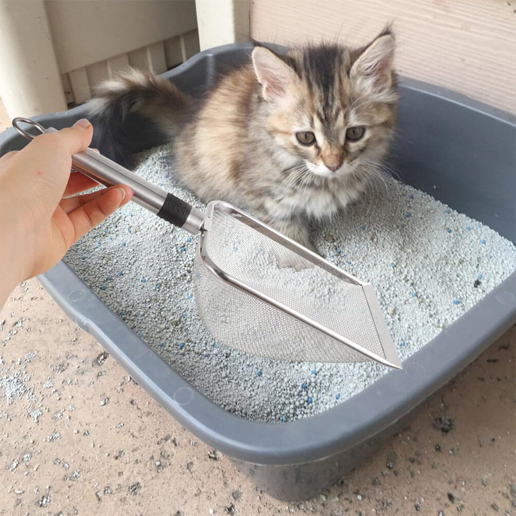 iplusmile 5pièces Pelle à Litière pour Chat Acier avec Capacité Pratique pour Litière De Chat Outil De Nettoyage pour Animaux De Compagnie