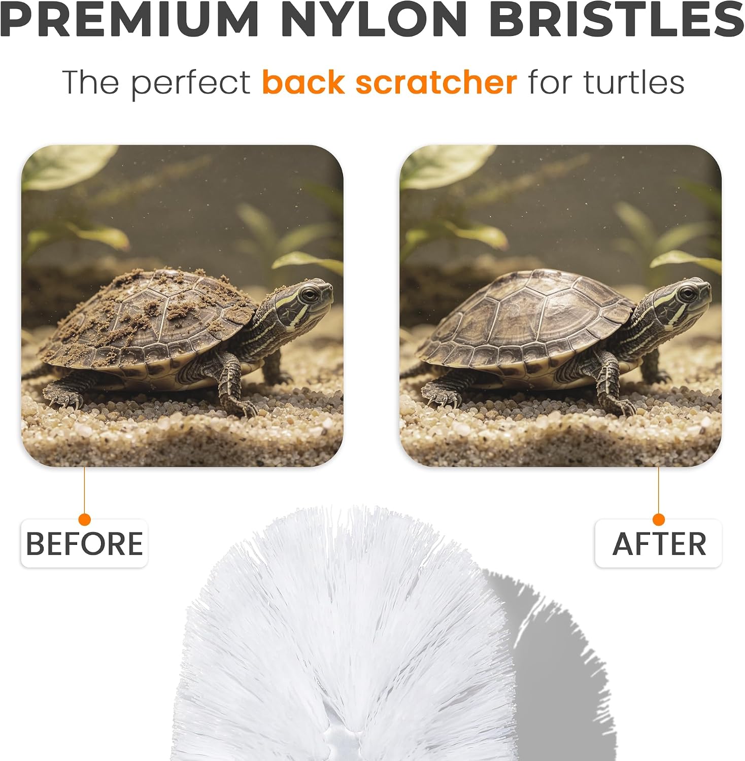 Turtle Brush with Suction Cup, Aquatic Turtle Tank Accessories image 4