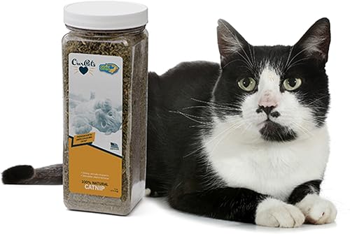 Vista 27 de OurPet's Hierba gatera prémium – Tarro de 1.25 oz de hierba gatera de alta potencia – 100% cultivado en América del Norte