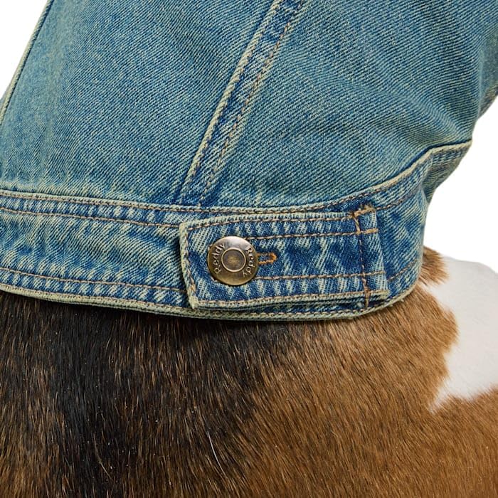 Reddy by Petco Icon Denim Dog Jacket Medium