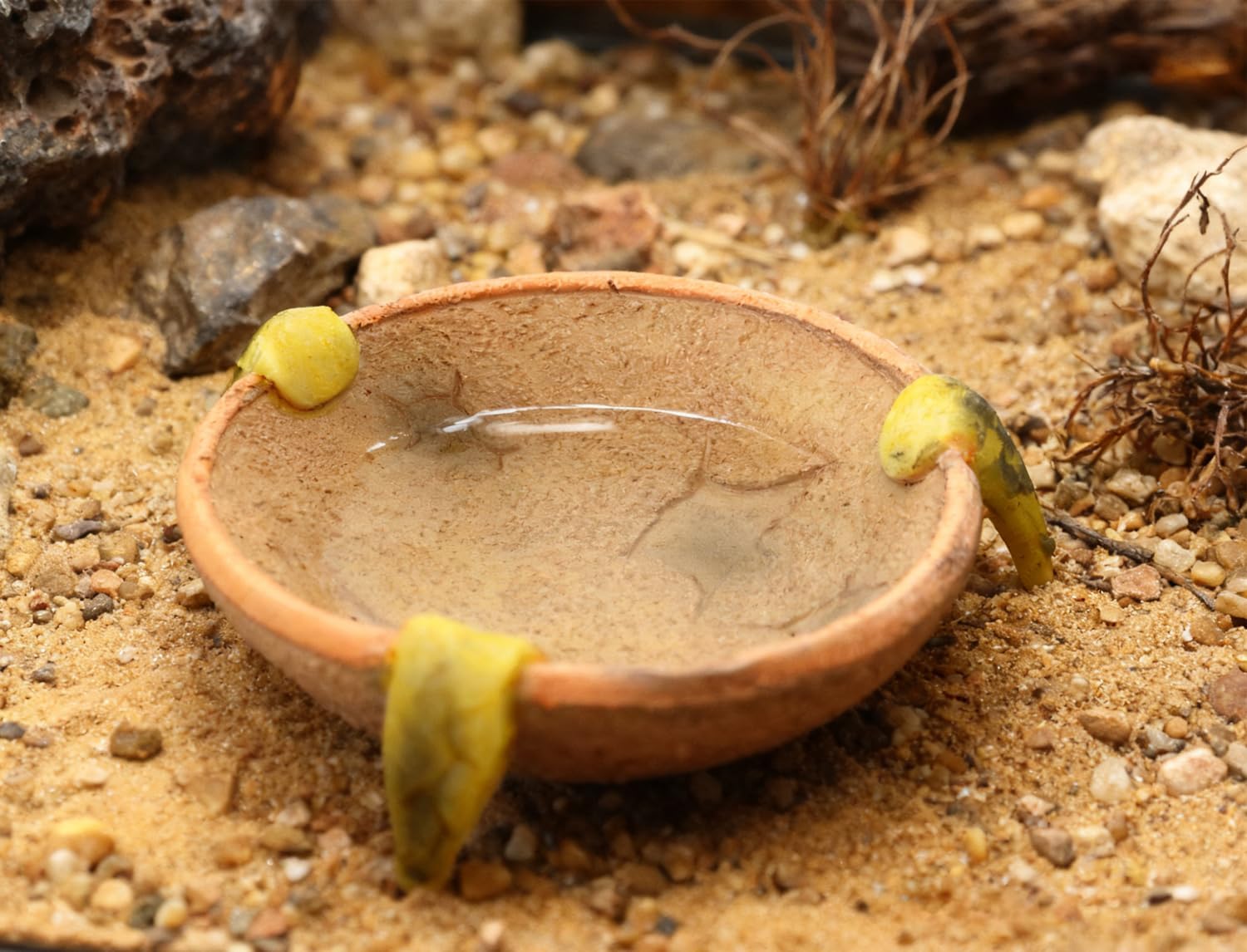 Food/Water Dish for Reptiles, Amphibians and Other Little Critters Water/Food Bowl, Made from Premium Resinl, Reptile Feeding Bowls for Bearded Dragon Lizard,Hermit Crab,Gecko,Tortoise,Frog image 4
