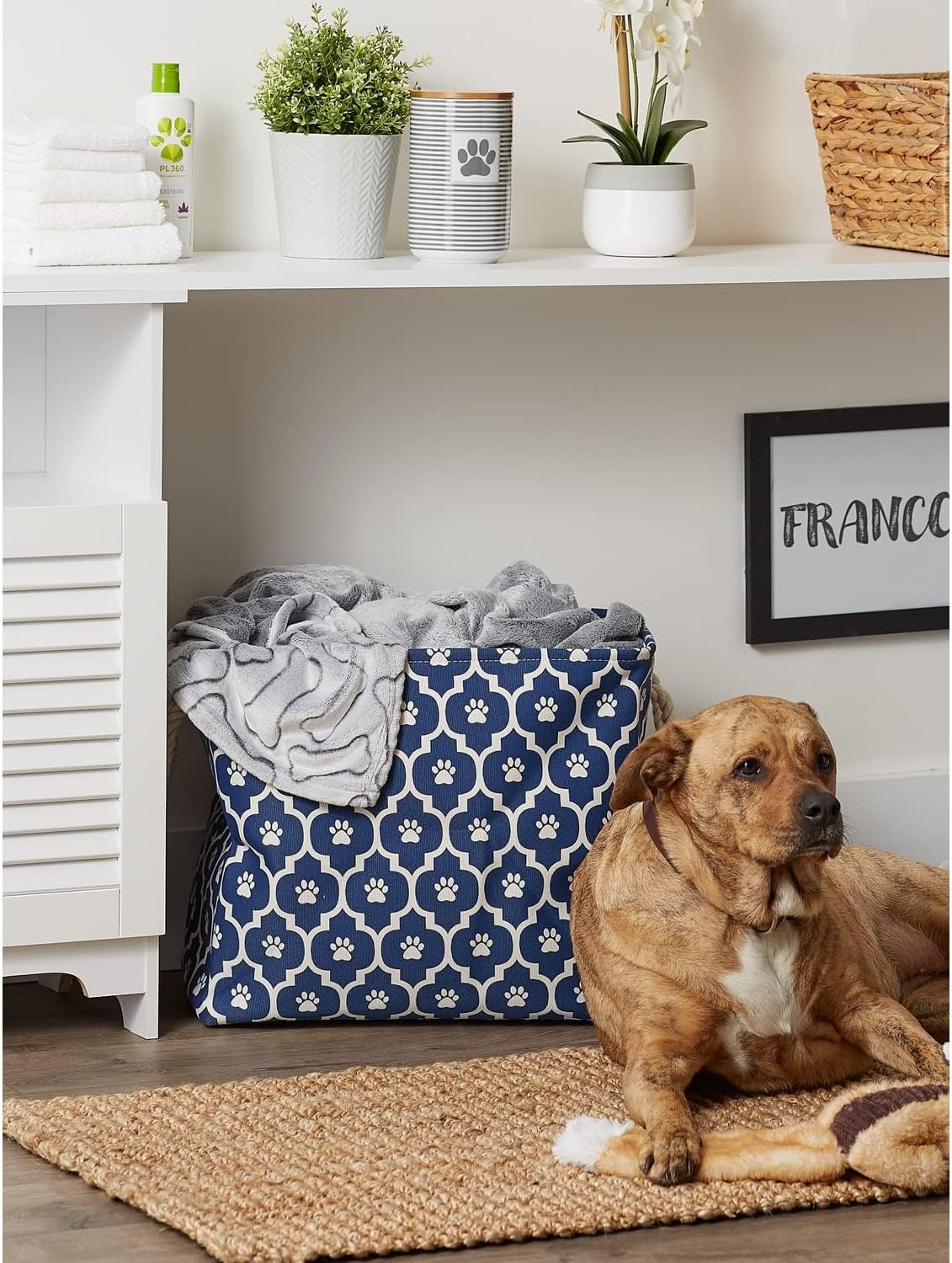 Bone Dry Pet Storage Collection Lattice Paw Print, Nautical Blue, Large Rectangle