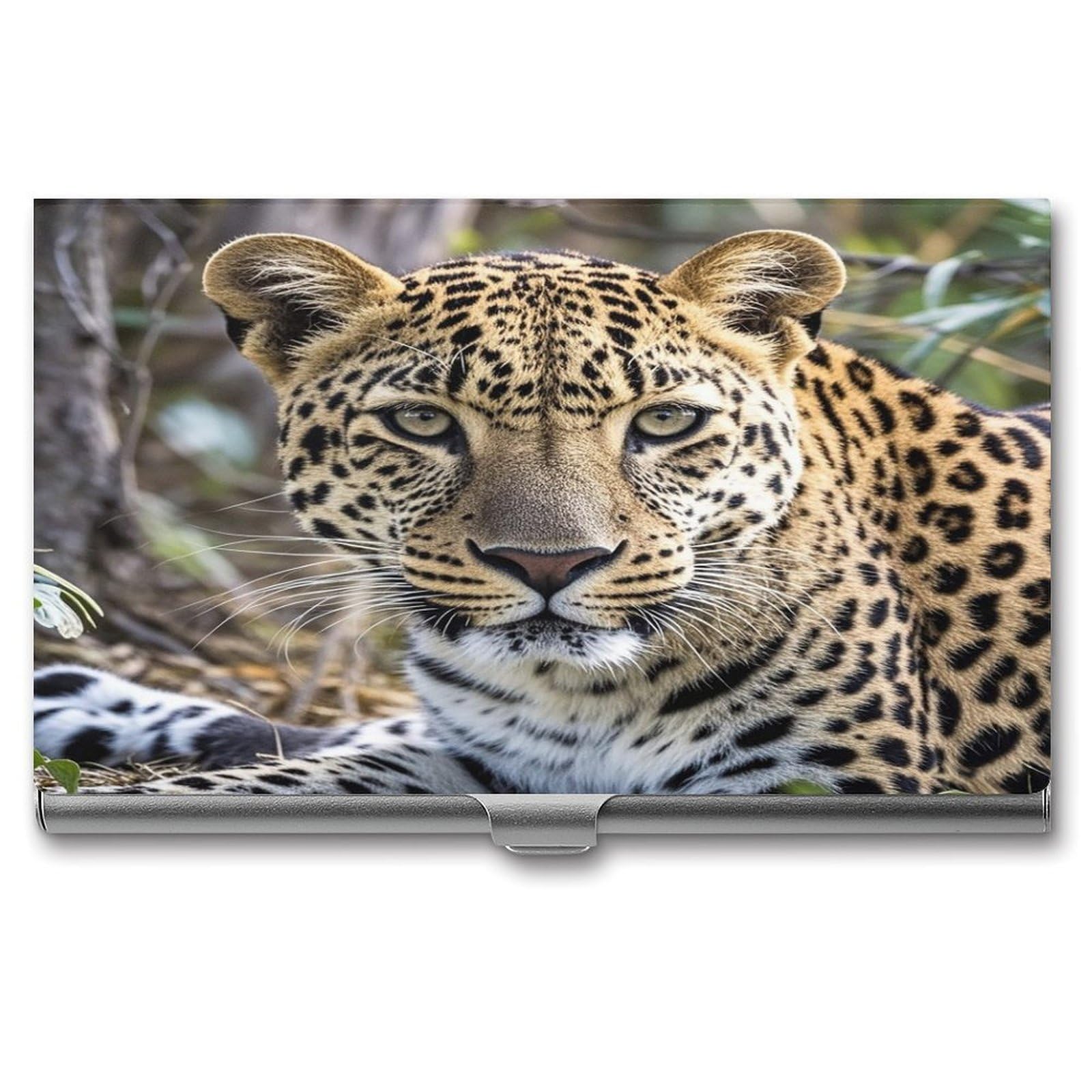 FekiLoot African Animal Leopard Business Card Holder for Men Women Metal Slim Organizer Business Card Carrier Wallet Name Cards Holder Retro Slim Pocket Purse Small Portable Card Case