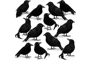 Realistic Halloween Crows and Ravens