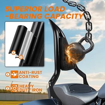 Sissy Bar Amovible XMT-MOTO Pour Harley Davidson Touring - Noir Brillant - Compatible Road Glide/Street Glide 2009 Accessoire Moto Touring 2009 Et Plus