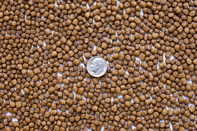 koi pellets bulk