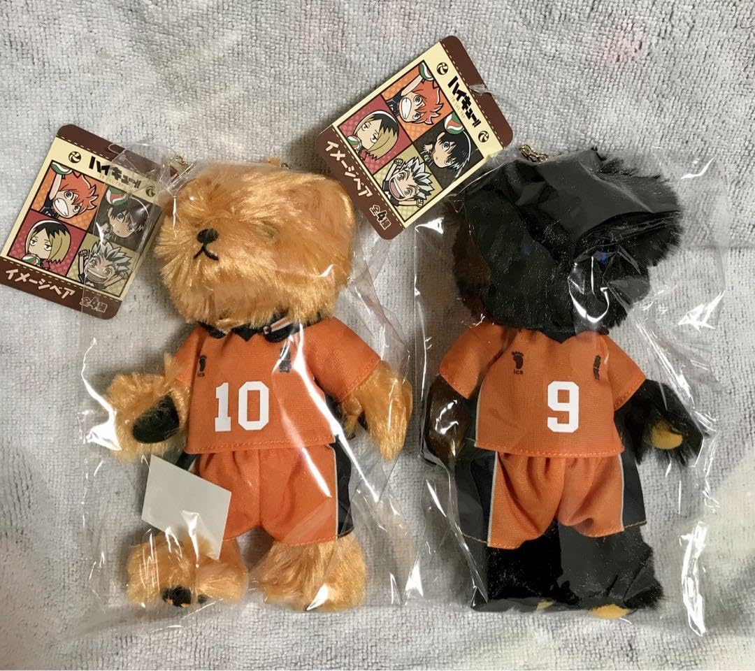 ハイキューのペア画魅力 | TikTok ハイキュー イメージベア 日向