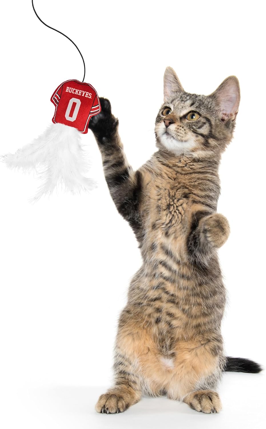 NCAA Ohio State Buckeyes Team Jersey Wand with CAT NIP, Cat Toy Jersey Shaped Plush Teaser Toy for Cats & Kittens - Interactive Pet Toy for Play & Exercise