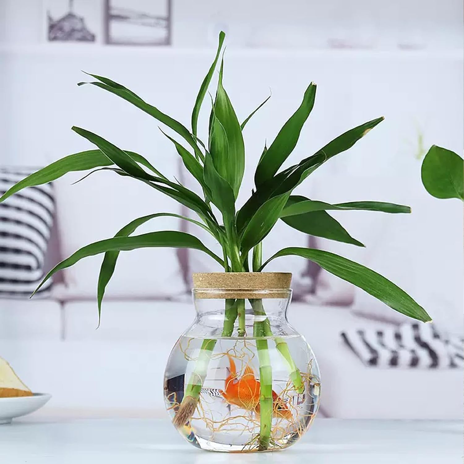 Plant Propagation Station - Glass Terrarium Vase Set of 4 for Hydroponic Plants, Desktop Glass Planter,Centerpiece Office,Door Home Garden Decor,Sizes of About 2 Plants,Office Decor Gift Idea Cu image 5