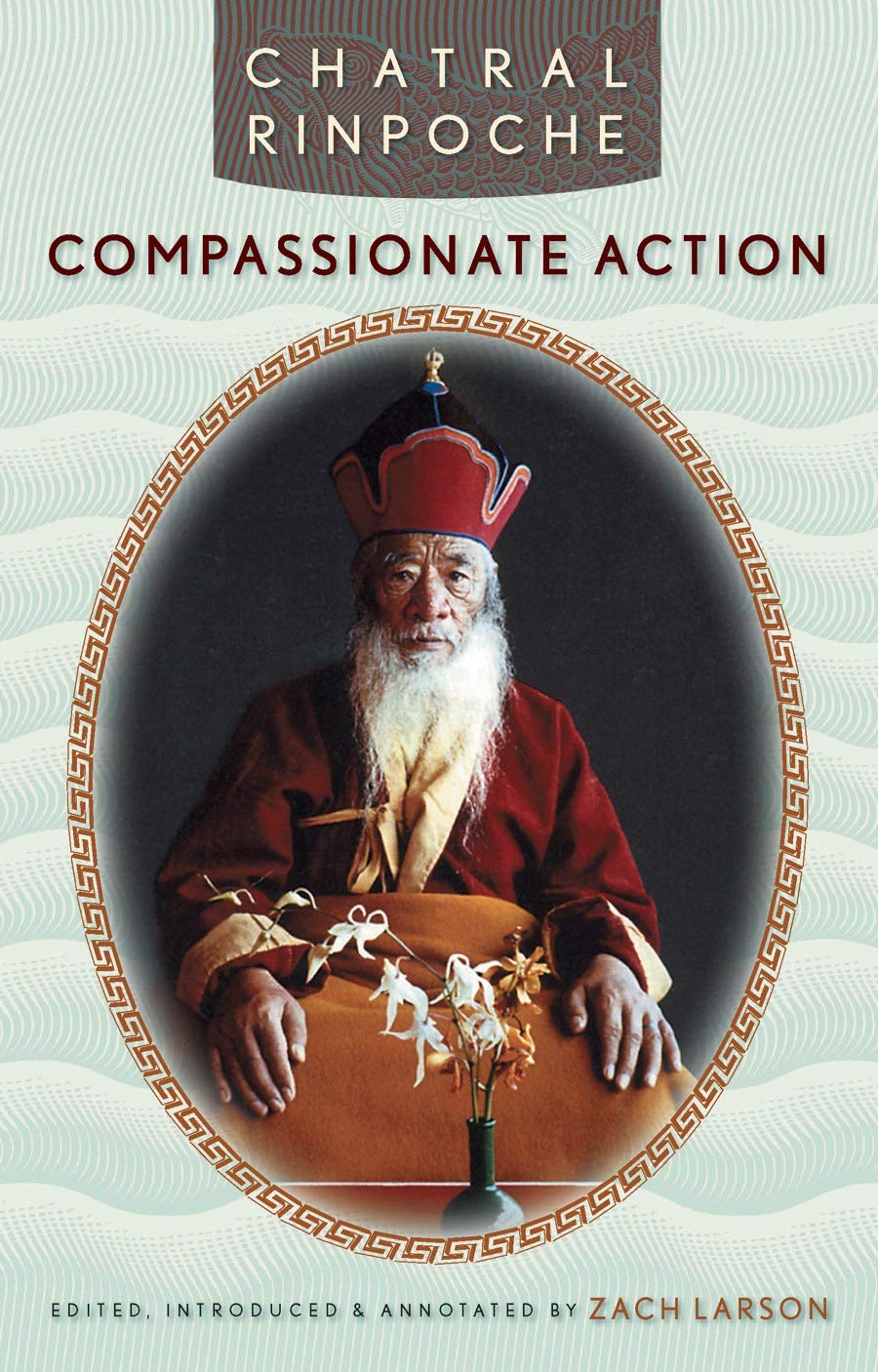 Amazon.com: Compassionate Action eBook : Rinpoche, Chatral, Zach Larson ...