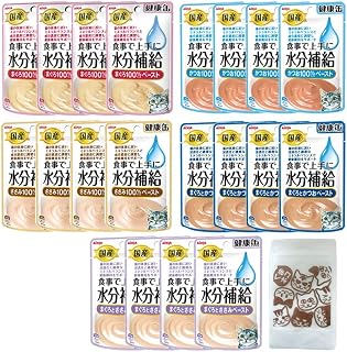爱西亚 健康罐装 补充水分 糊 40克 5种×4(共20个) 熊猫本铺原创猫咪图案迷你保存拉链袋套装