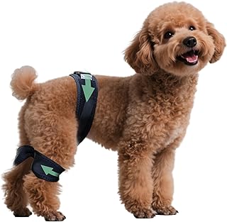 Adjustable Dog Leg Brace for Hip Dysplasia,Breathable & Supportive Dog Hip Brace for Pain Relief, Preventing and Improving Joint Dysplasia Hip Brace for Dogs,S