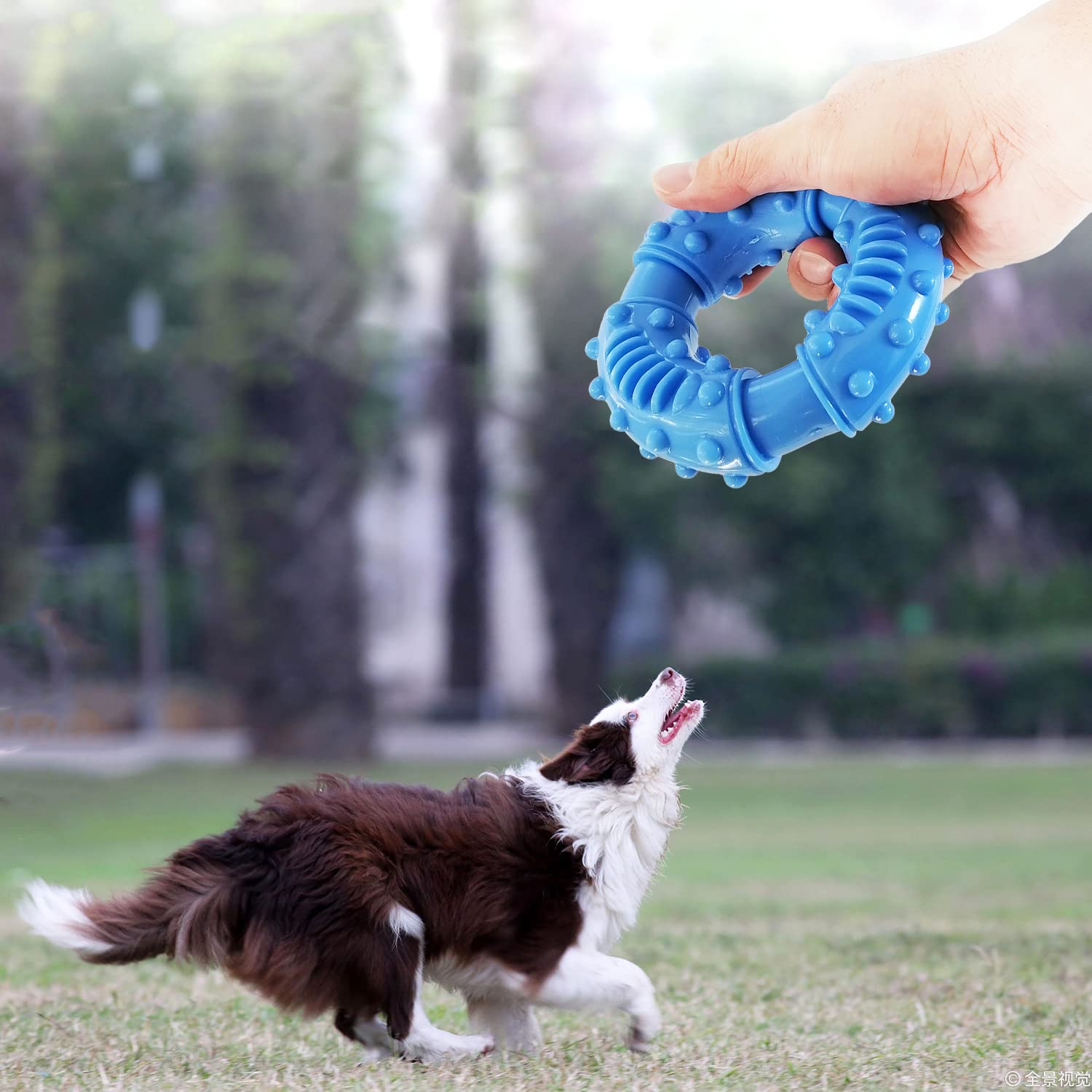Giocattolo Per Cani Indistruttibile In Gomma - Anello Da Masticare Per Taglie Medie/Grandi