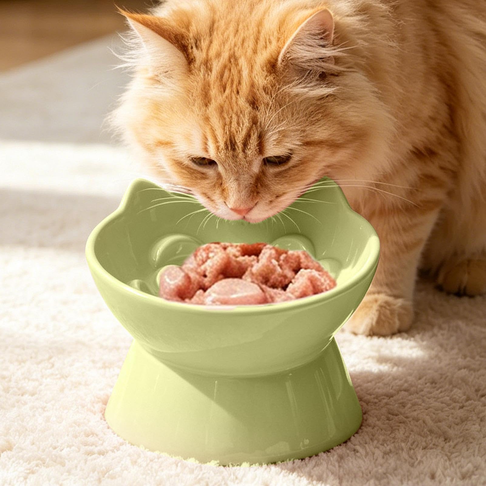 Gamelle Surélevée Pour Chat Plat À Eau En Céramique