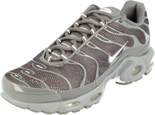 white and grey nike tns