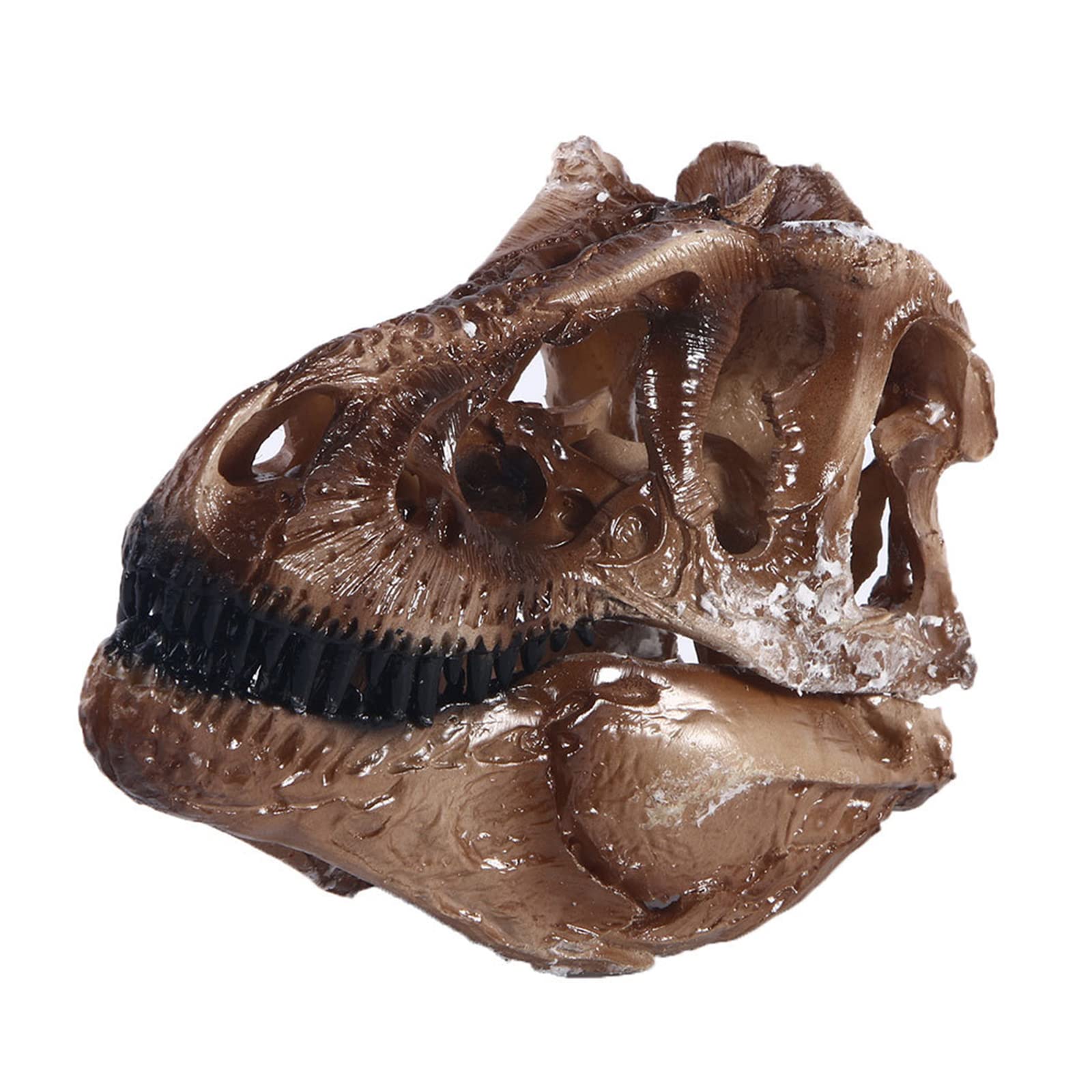 恐竜の頭部模型 恐竜の頭部模型 Amazon | DE CLAY 1/20