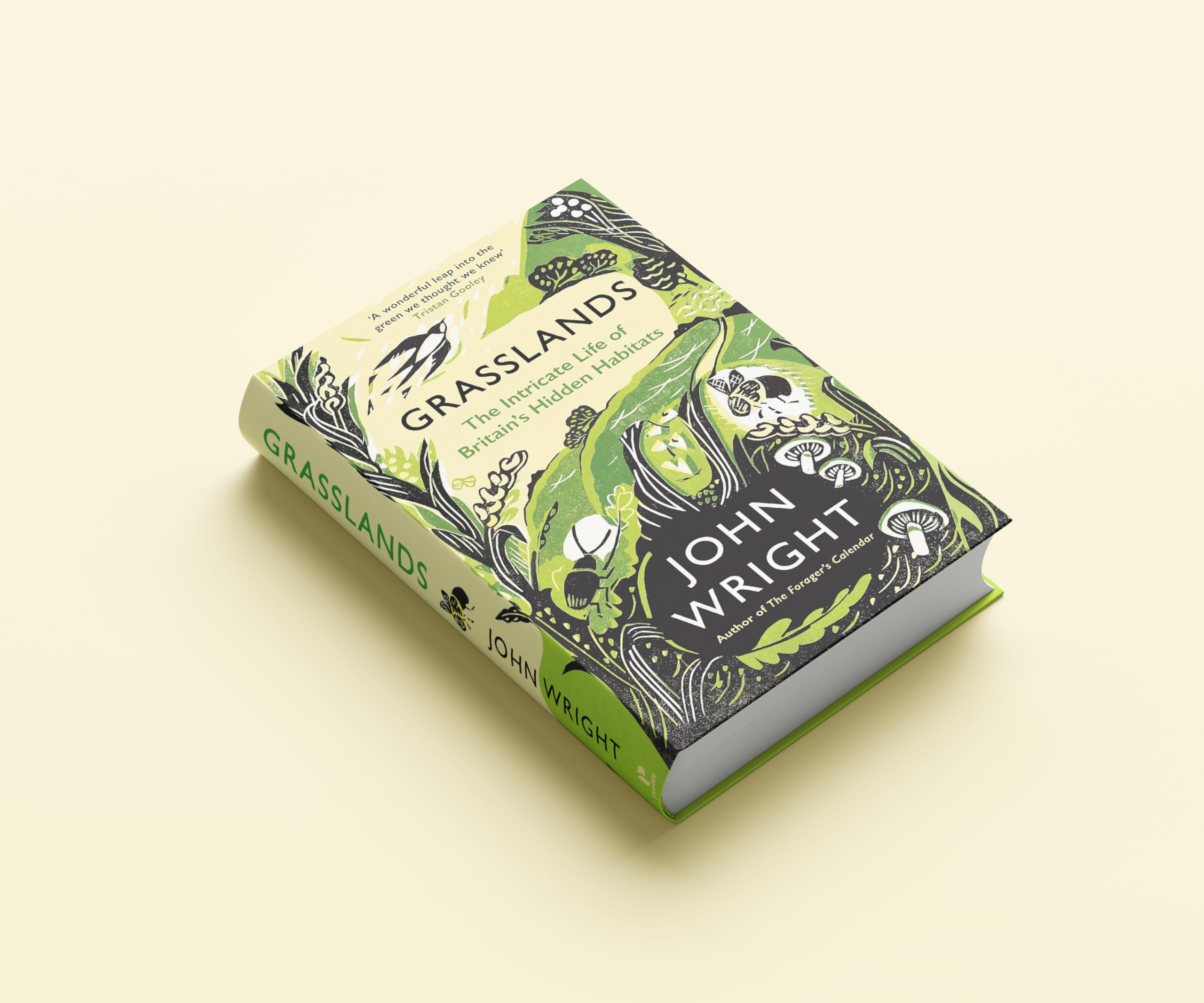 Grasslands: The Intricate Life of Britain's Hidden Habitats