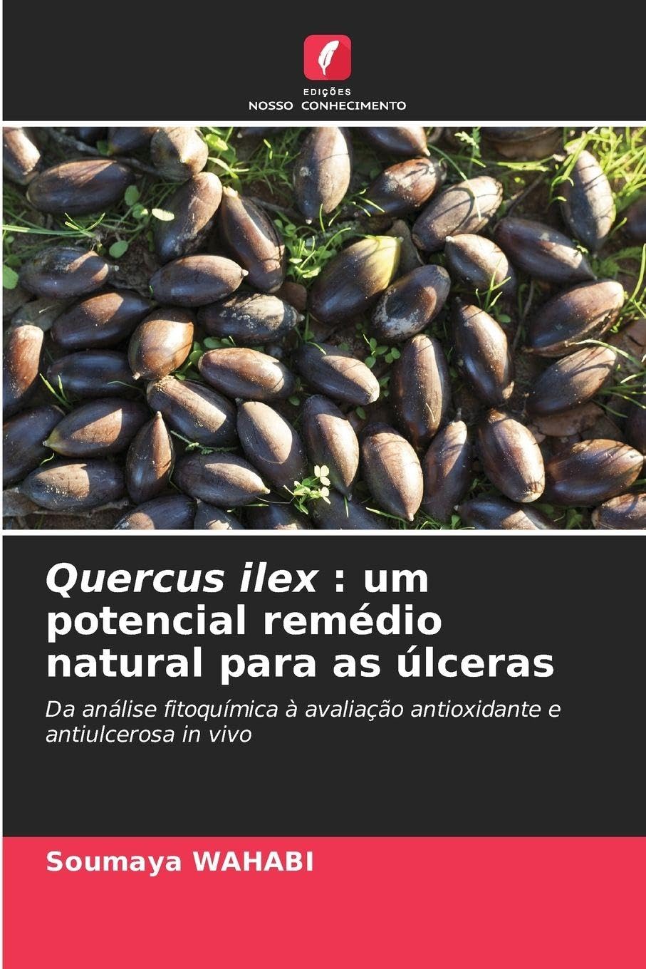 Quercus ilex: um potencial remédio natural para as úlceras