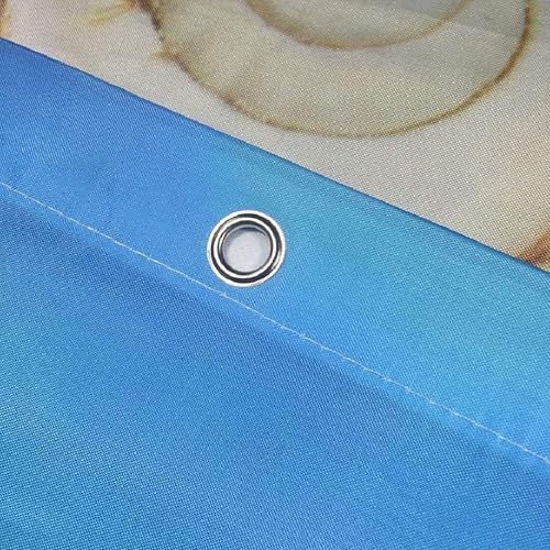 Miniatura 7 de Seashell - Cortina de ducha de playa con estrellas de mar y cielo azul, decoración de baño, 72 x 72 pulgadas con ganchos