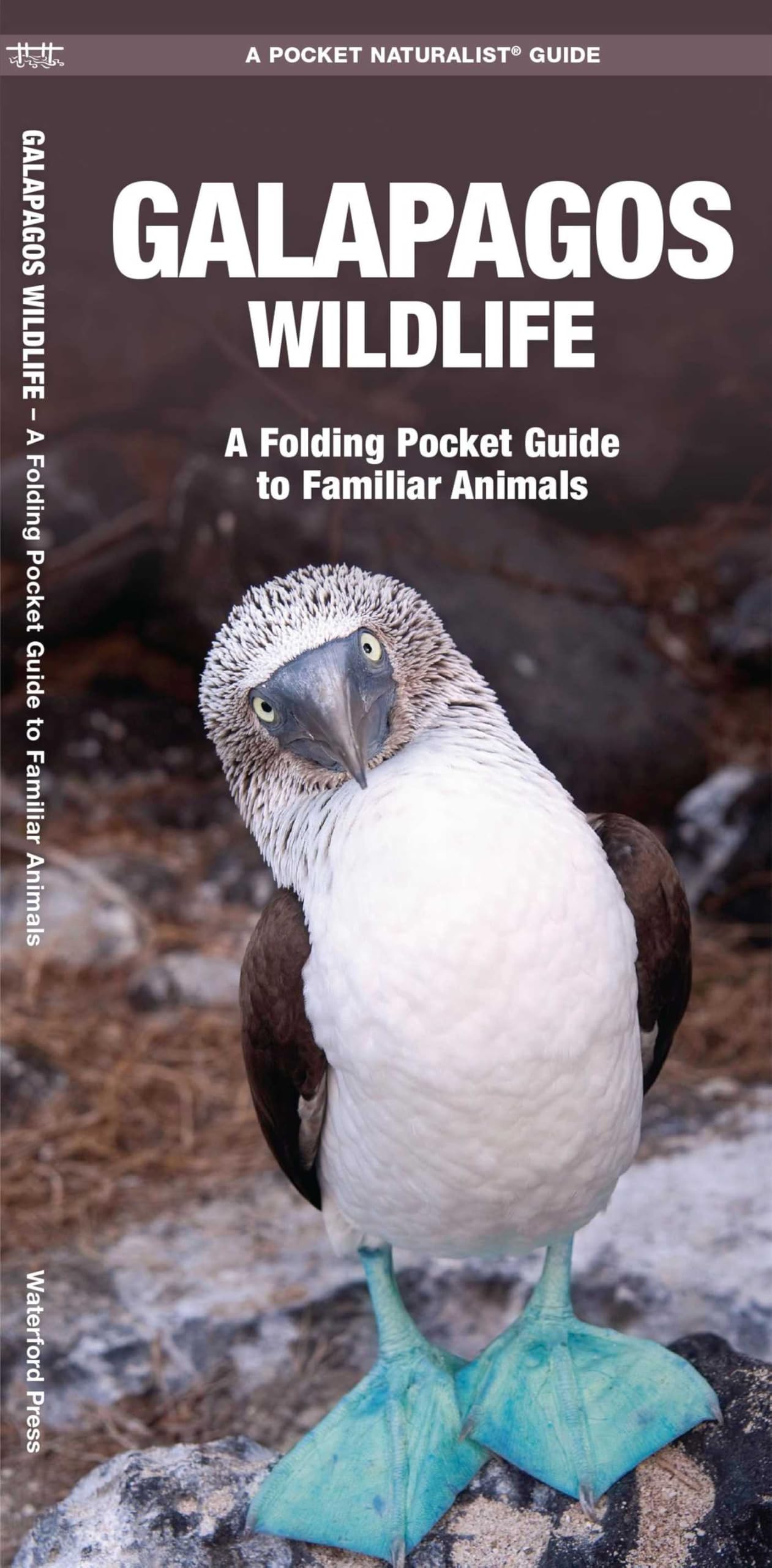 Galapagos Wildlife: A Folding Pocket Guide  by James Kavanagh PAMPHLET / LEAFLET