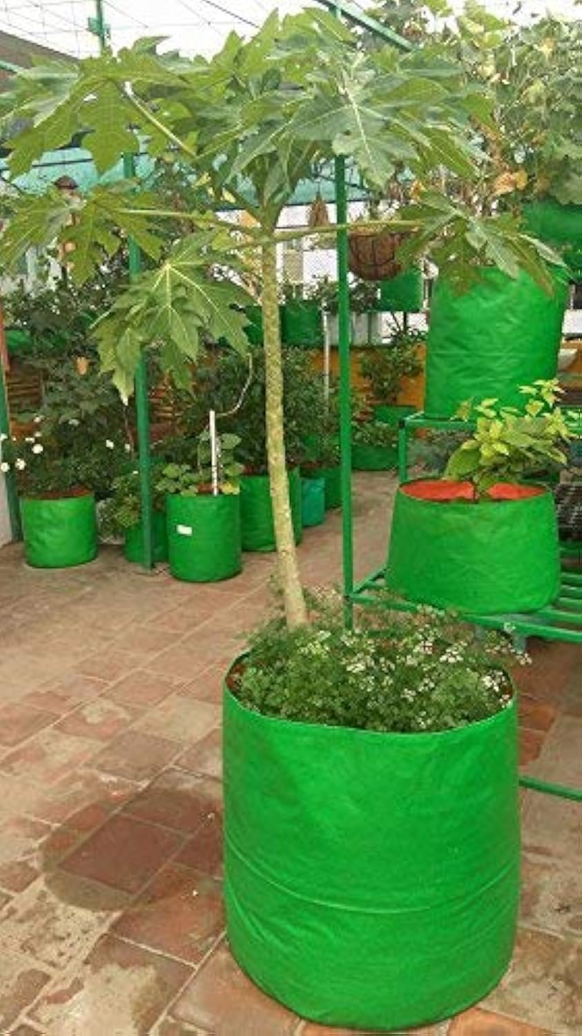 YUVAGREEN Plastic Big Size Terrace Gardening Grow Bag for Fruits, Banana, 24x24inch, 2x2ft Green