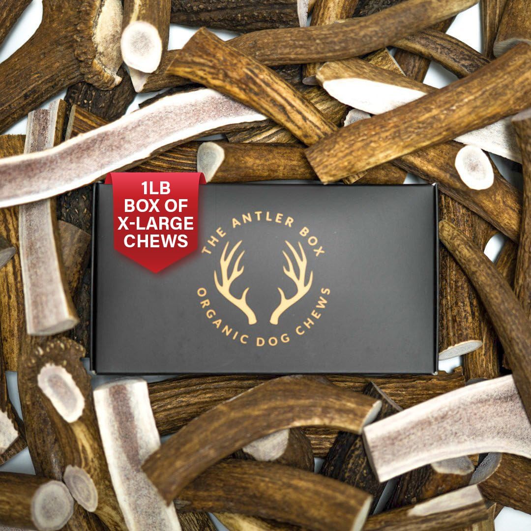 The Antler Box Premium Elk Antler Dog Chews (1 Pound Box) (X-Large (2 Pieces) Whole/Split Mixed)