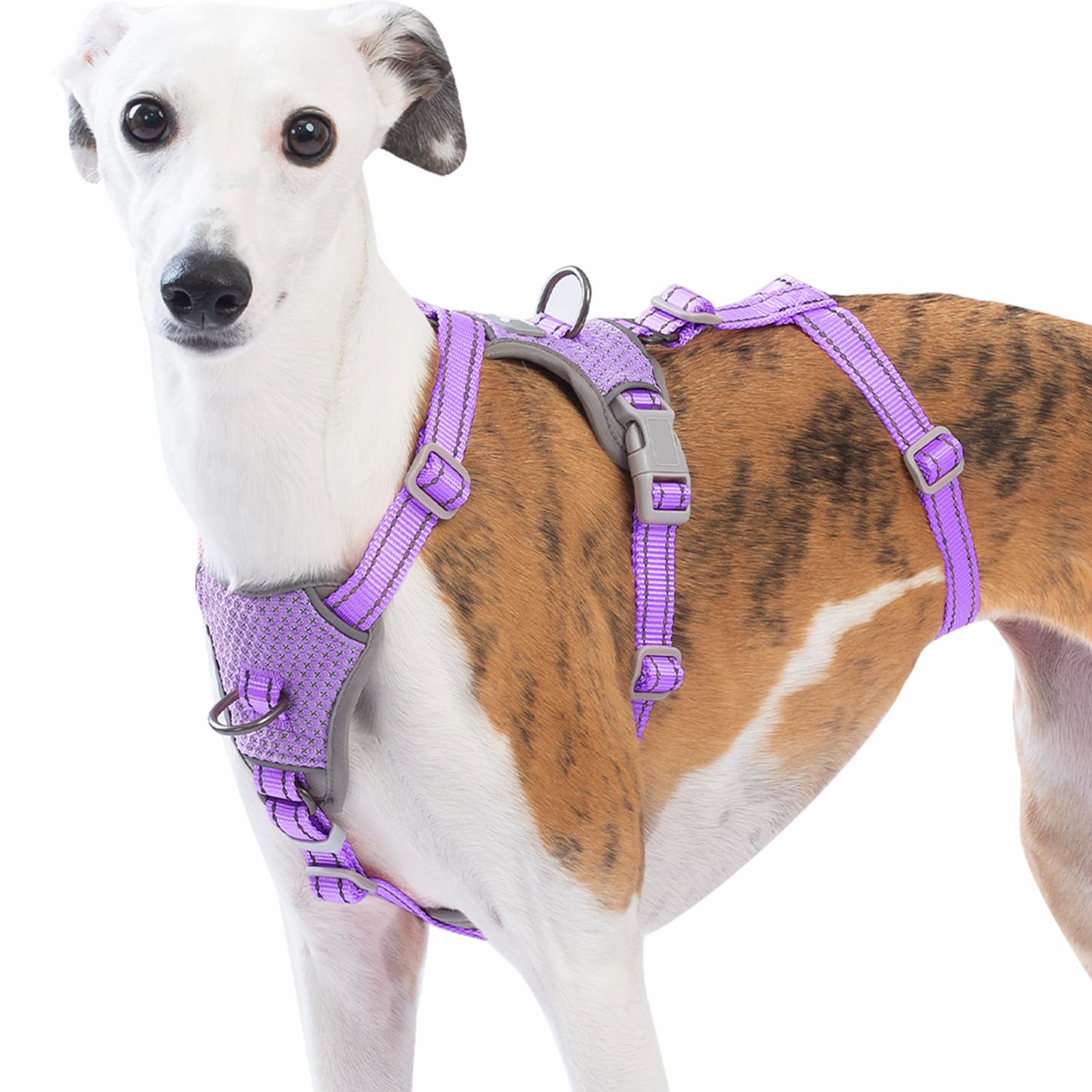 Huntboo Medium Escape Proof Dog Harness, Anti Pull Reflective Pet Harnesses, Secure 3 Point Vest for Small Animal, Lightweight, Adjustable, for Large Dogs Outdoor Training, Hiking (Lavender Purple, L)