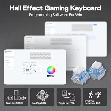 EPOMAKER Aula MINI60 HE Wireless Gaming Keyboard, 8K Hz Polling, SOCD & DKS, 60% Hall Effect Keyboard with Fast Trigger & Adjustable Actuation, RGB, PBT Keycap, for Win/Mac (Max)