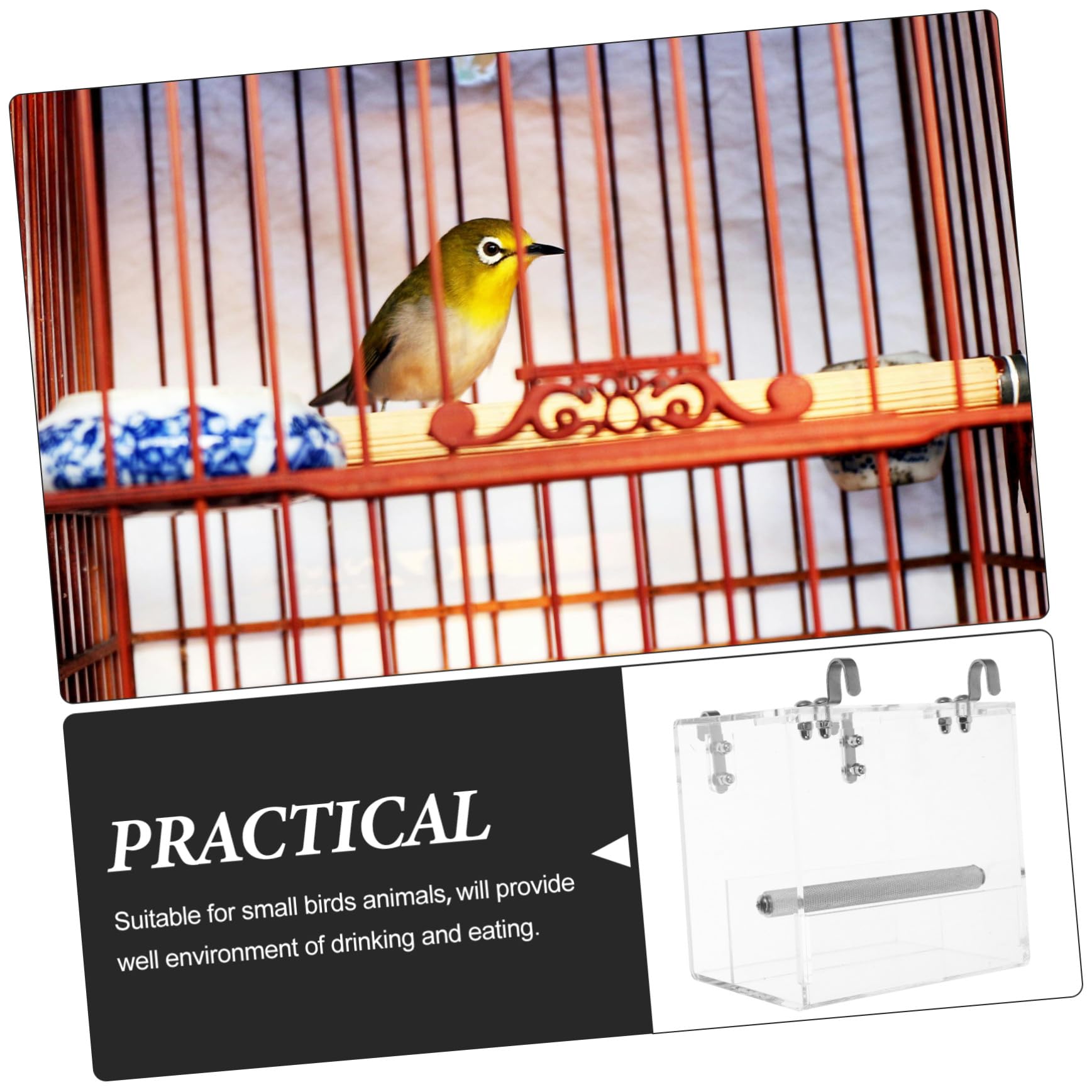Mangeoire Automatique pour Oiseaux Bol De Nourriture pour Perroquets Accessoire De Cage s