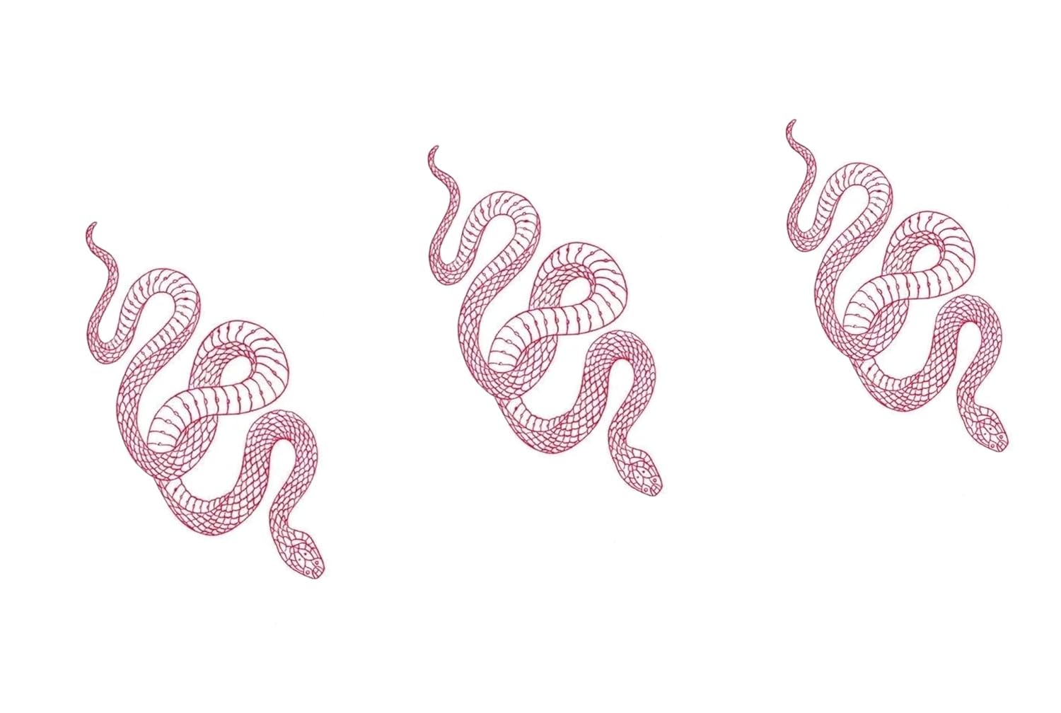 Fashion Realistic Big Size Black Snake Temporary Tattoo Stickers for Women Men Waterproof Fake Tattoo Waist Body Forearm Arm (Pack of 10)