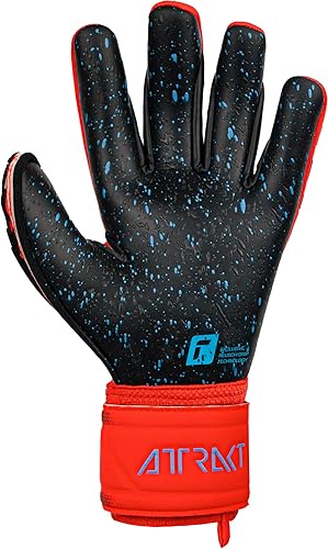 Miniatura 2 de Reusch Attrakt Freegel Fusion Guantes Portero Portero