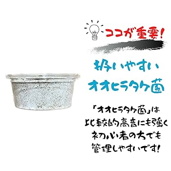 ペプタ100/新品未開封/3個セット/賞味期限22.12.1 Amazon | ゼット(ZETT) ソフトボール3号 バット RED-X 金属製