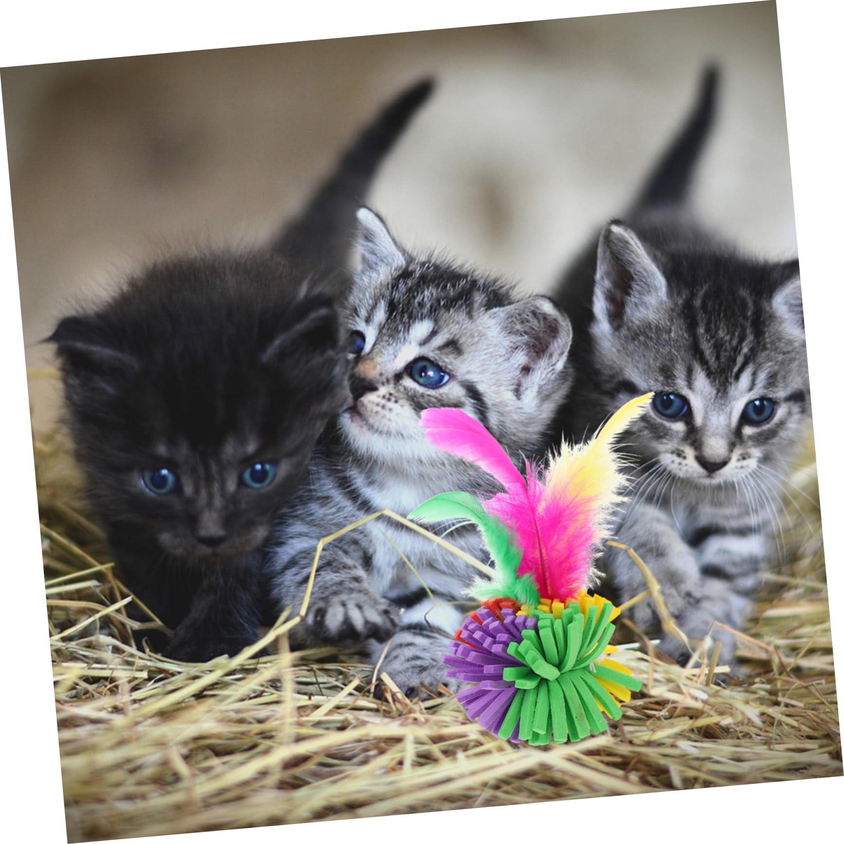 WOONEKY Lot de 2 Jouets pour Chats Gobelets Rebondissants Distributeur de Friandises Fonctions de Poursuite Et de Grattage 4 Pièces