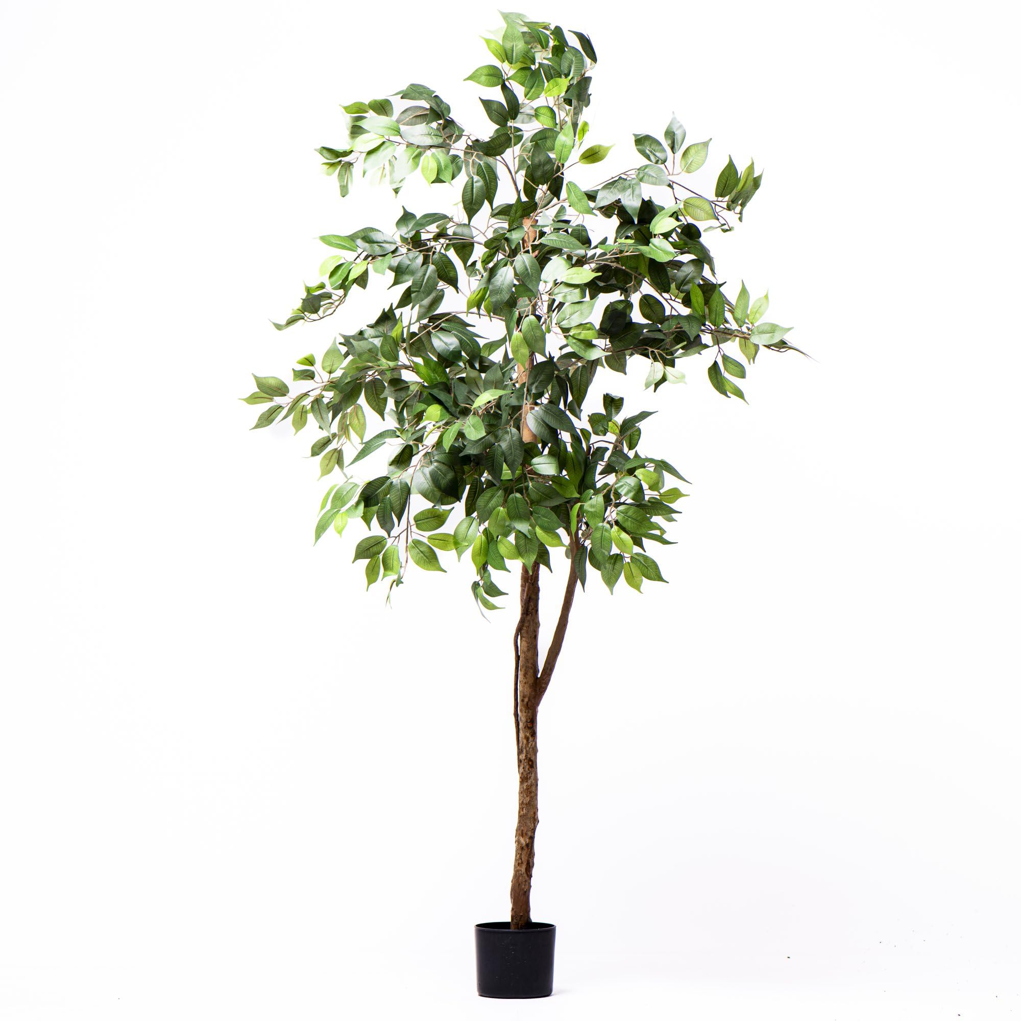 Artificial Ficus Tree - Thompson Morgan - 3 Trunk - 150cm - Green