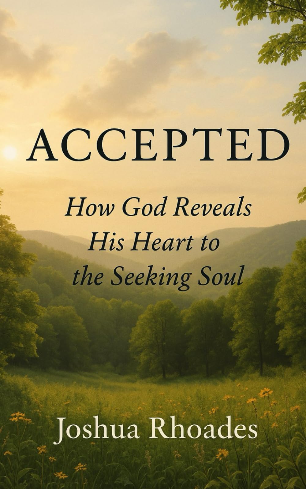 Accepted: How God Reveals His Heart to the Seeking Soul